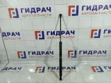 Амортизатор крышки (двери) багажника Peugeot 308 9807899380