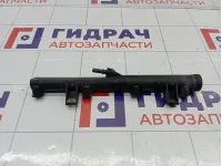 Топливная рампа (топливная рейка) Peugeot 407 157088