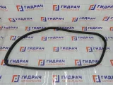 Уплотнитель двери передней левой Peugeot 407 9023RE