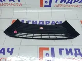 Накладка торпедо Peugeot 407 8211KX