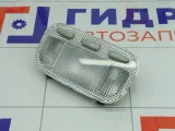Плафон салонный Peugeot 407