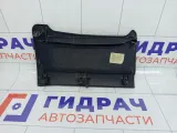 Накладка торпедо Peugeot 407 9646819277