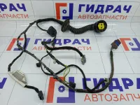 Проводка двери задней Peugeot 407 9658191780