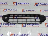 Решетка бампера переднего Peugeot 407 7414GF