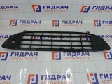 Решетка бампера переднего Peugeot 407 7414GF