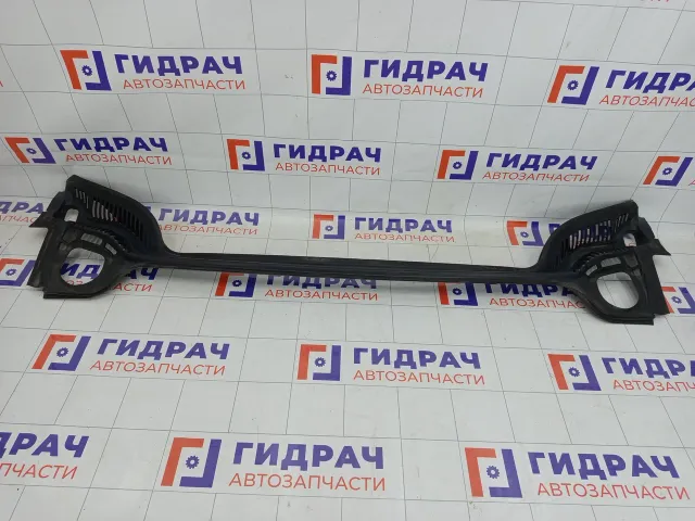 Решетка под лобовое стекло (Жабо) Peugeot 407 8251R8