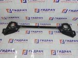Решетка под лобовое стекло (Жабо) Peugeot 407 8251R8