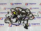 Проводка подкапотная Peugeot 407