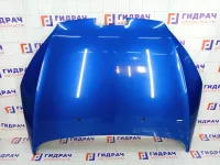 Капот Peugeot 407 7901K7