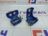 Петли двери передней левой Peugeot 407