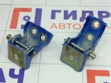 Петли двери передней правой Peugeot 407