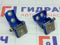 Петли двери задней правой Peugeot 407