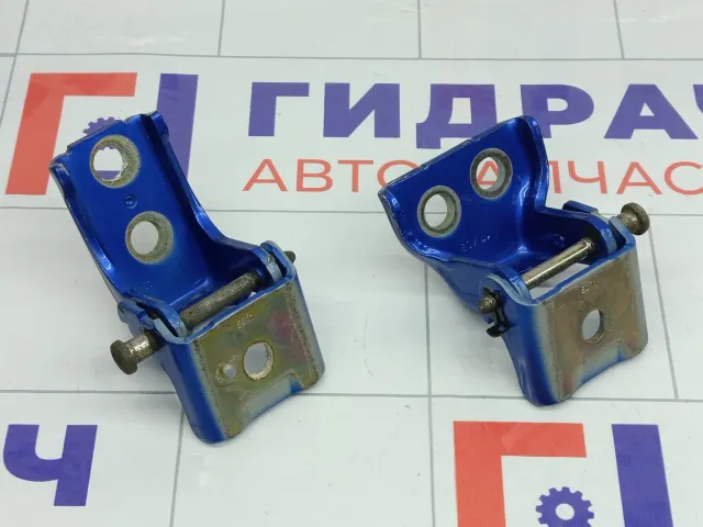 Петли двери задней правой Peugeot 407