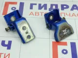 Петли двери задней правой Peugeot 407