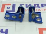 Петли двери задней правой Peugeot 407