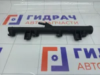 Топливная рампа (топливная рейка) Peugeot 407 157088