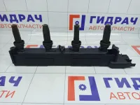 Рампа (кассета) катушек зажигания Peugeot 407 597098