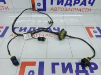 Проводка (коса) подсветки номера Peugeot 407 20100213