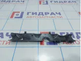 Накладка топливной рейки Peugeot 408 756171580
