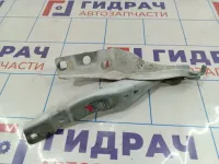 Петля капота правая Peugeot 408 9670909980