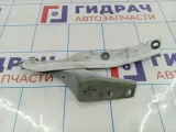 Петля капота левая Peugeot 408 9670910080