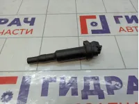 Катушка зажигания Peugeot Partner 597064