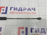 Амортизатор крышки (двери) багажника Peugeot Traveller  9813193480