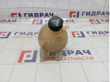 Бачок расширительный Peugeot Traveller  9800777280