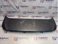 Капот Peugeot Traveller  9811892880