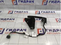 Проводка двери задней левой Peugeot Traveller  9816589180