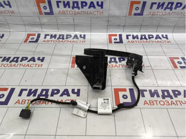 Проводка двери задней левой Peugeot Traveller  9816589180
