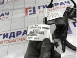 Проводка двери задней левой Peugeot Traveller  9816589180
