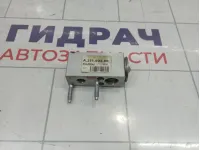 Клапан кондиционера Peugeot Traveller  1609738480
