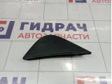 Молдинг крыла левый Peugeot Traveller  9808813380