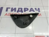 Молдинг крыла левый Peugeot Traveller  9808813380