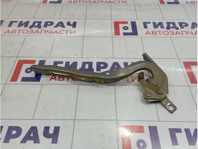 Петля капота правая Peugeot Traveller  9808654480