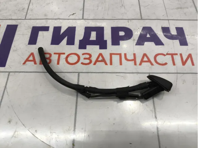 Форсунка омывателя Peugeot Traveller  9811787880