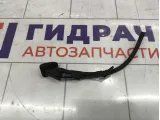 Форсунка омывателя Peugeot Traveller  9811787880