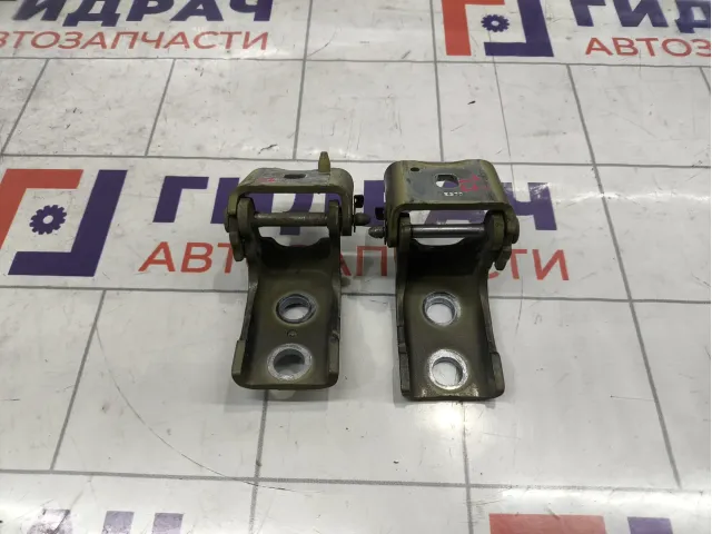 Петли двери передней левой Peugeot Traveller  1606475180