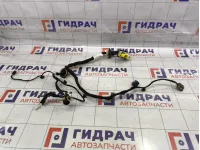 Проводка двери Peugeot Traveller  9812432880