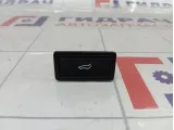 Кнопка закрывания багажника Porsche Cayenne (9PA) 95561325800A03