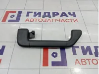 Ручка внутренняя потолочная Porsche Cayenne (9PA) 955555606009B9