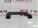 Ручка внутренняя потолочная Porsche Cayenne (9PA) 955555608009B9