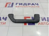 Ручка внутренняя потолочная Porsche Cayenne (9PA) 955555607009B9