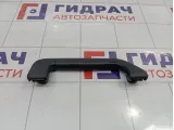Ручка внутренняя потолочная Porsche Cayenne (9PA) 955555607009B9
