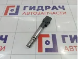 Катушка зажигания Porsche Cayenne (9PA) 95560210105