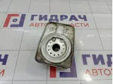 Радиатор масляный Porsche Cayenne (9PA) 95510702101