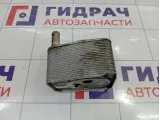 Радиатор масляный Porsche Cayenne (9PA) 95510702101