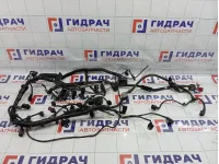 Проводка двигателя Porsche Cayenne (9PA) 95560701030