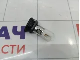 Прикуриватель Porsche Cayenne (9PA) 95565210700